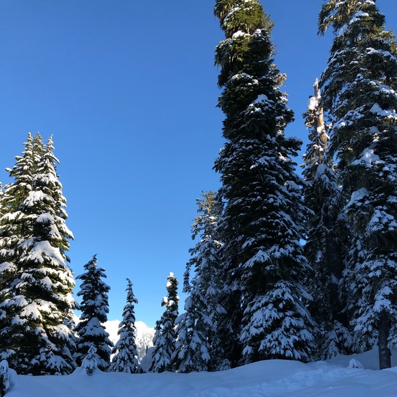 Meet your Posher, Briana - Picture 1 of 1